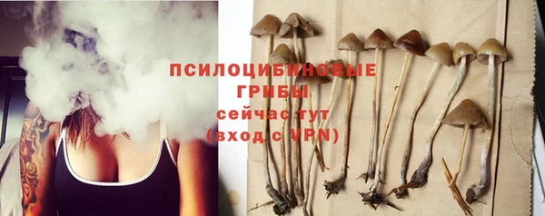 прущий лед Видное