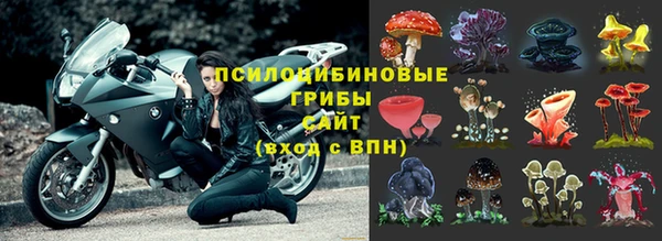 прущая мука Ветлуга