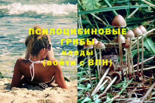 ешки Белокуриха